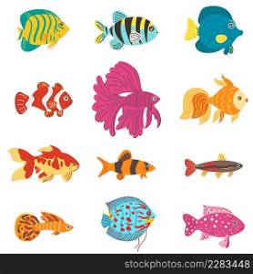 Aquarium fish. Different breeds color decorative fishes, home hobby, water pets, tropical aquatic mini underwater tropical creatures, goldfish with long fin tails, vector cartoon flat isolated set. Aquarium fish. Different breeds color decorative fishes, home hobby, water pets, tropical aquatic mini underwater tropical creatures, goldfish with long fin tails, vector set