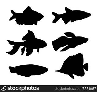 Aquarium fish silhouette set. Goldfish and green tiger fish, butterfly fish blue long wrasse. Different types of limbless animals vector illustration. Aquarium Fish Silhouette Set Vector Illustration