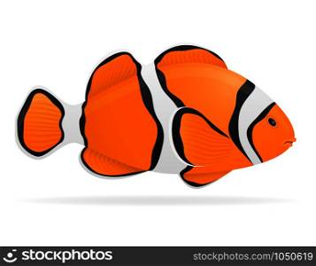 aquarium fish vector illustration isolated on white background