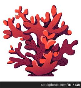 Aquarium or underwater, isolated icon of seaweed coral. Sea or ocean flora, botany and undersea vibrant plants. Snorkeling or scuba diving nautical and marine environment. Vector in flat style. Red coral reef seaweed for aquarium or underwater