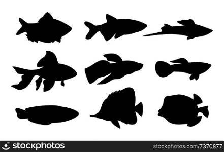 Aquarium set of fish silhouettes. Butterfly boxfish goldfish and tamarin blue wrasse. Limbless cold-blooded animals isolated on vector illustration. Aquarium Set Fish Silhouette Vector Illustration