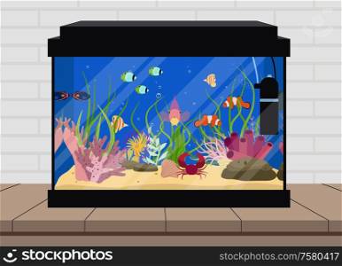 Aquarium with colorful fish crab and water plants flat vector illustration