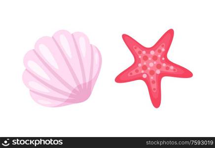 Aquatic creatures vector, isolated icons of conch and starfish. Pink seastar with five corners, animals living in sea water, ocean bottom dwellers. Starfish and Seashell, Conch Closeup Mollusk Set