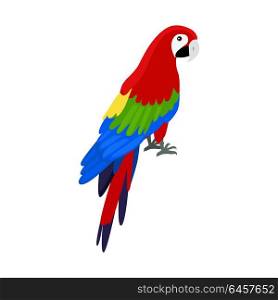 Ara Parrot Flat Design Vector Illustration. Ara parrot vector. Birds of Amazonian forests in flat design illustration. Fauna of South America. Beautiful Ara parrot on branch posters, childrens books illustrating. Isolated on white.