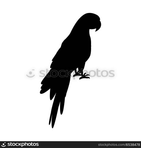 Ara Parrot Flat Design Vector Illustration. Ara parrot vector. Birds of Amazonian forests in black color. Fauna of South America. Beautiful Ara parrot posters, childrens books illustrating. Isolated on white.