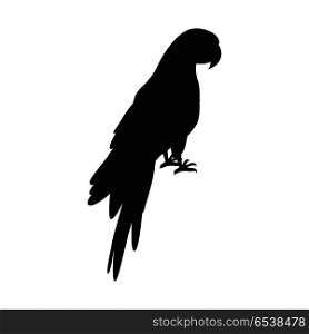 Ara Parrot Flat Design Vector Illustration. Ara parrot vector. Birds of Amazonian forests in black color. Fauna of South America. Beautiful Ara parrot posters, childrens books illustrating. Isolated on white.