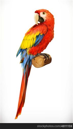 Ara parrot. Macaw. Photo realistic. 3d vector icon