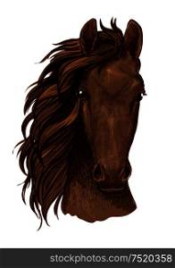 Arabian brown stallion vector portrait. Horse head color sketch. Mustang with serious look and wavy mane. Arabian brown stallion vector portrait