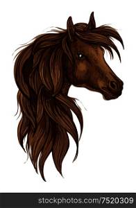Arabian horse head sketch. Brown stallion horse of arabian breed. Horse racing sign, equestrian sporting competition theme design. Brown arabian horse head isolated sketch