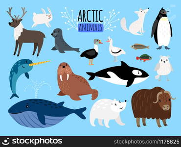 Arctic animals. Cute animal set of Arctic or Alaska vector illustration for education, penguin and polar bear, fox and reindeer isolated on white background. Arctic animals. Cute animal set of Arctic or Alaska vector illustration for education, penguin and polar bear