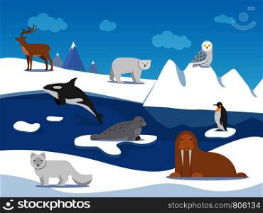 Arctic landscape with different polar animals. Vector animal arctic, polar landscape with penguin and bear illustration. Arctic landscape with different polar animals