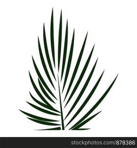 Areca palm leaf icon. Cartoon of areca palm leaf vector icon for web design isolated on white background. Areca palm leaf icon, cartoon style