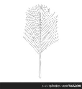 Areca palm leaf in black outline on white background. Tropical leaves on background. Postcard, banner, app design. . Areca palm leaf in black outline on white background
