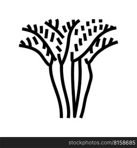 areca palm tree line icon vector. areca palm tree sign. isolated contour symbol black illustration. areca palm tree line icon vector illustration