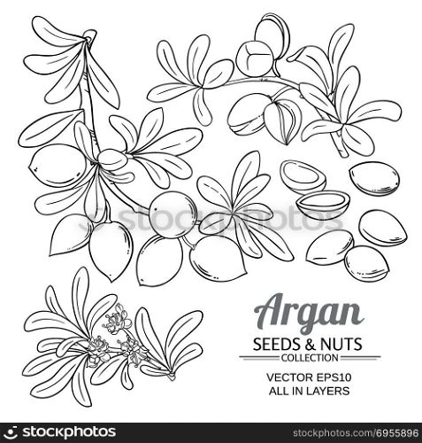 argan branches vector set. argan branches vector set on white background