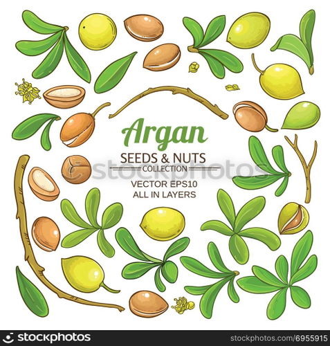 argan elements vector set. argan elements vector set on white background