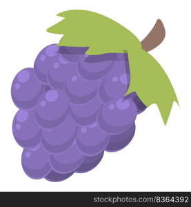 Argentina grapes icon cartoon vector. Argentina food. Travel america. Argentina grapes icon cartoon vector. Argentina food