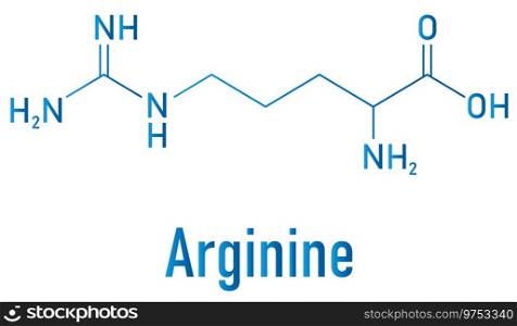 Arginine amino acid molecule skeletal formula Vector Image
