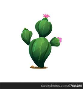 Ariocarpus prickly growing cactus with big thorns, cartoon design element, Cinco de Mayo holiday decoration. Vector exotic blossom of cacti, cactus with spikes and pink blooming flower growing in sand. Pink flower blooming on mexican succulent cactus