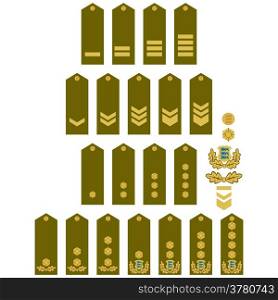 Armed Forces insignia Estonia