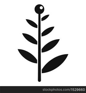 Aroma plant herb icon. Simple illustration of aroma plant herb vector icon for web design isolated on white background. Aroma plant herb icon, simple style