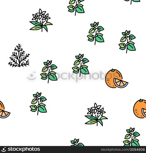 Aromatherapy Herbs Vector Seamless Pattern Thin Line Illustration. Aromatherapy Herbs Vector Seamless Pattern