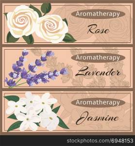 Aromatherapy set collection. Rose, lavender, jasmine. Aromatherapy set collection. Rose, lavender, jasmine banner set. Vector illustration. For cosmetics, store, spa, health care, aromatherapy, homeopathy, labels, advertising.
