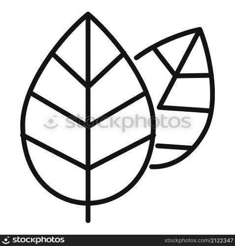 Aromatic basil food icon outline vector. Herb leaf. Spice plant. Aromatic basil food icon outline vector. Herb leaf