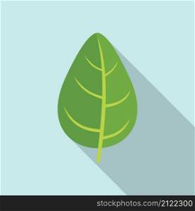 Aromatic basil icon flat vector. Spice leaf. Cooking plant. Aromatic basil icon flat vector. Spice leaf