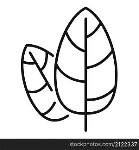 Aromatic basil icon outline vector. Spice leaf. Cooking plant. Aromatic basil icon outline vector. Spice leaf