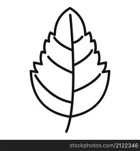 Aromatic basil leaf icon outline vector. Herb spice. Cooking plant. Aromatic basil leaf icon outline vector. Herb spice
