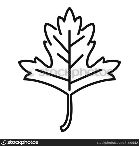 Aromatic parsley icon outline vector. Leaf herb. Leaves plant. Aromatic parsley icon outline vector. Leaf herb