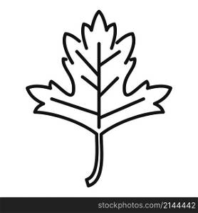 Aromatic parsley icon outline vector. Leaf herb. Leaves plant. Aromatic parsley icon outline vector. Leaf herb