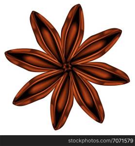 Aromatic spice star of anise illustration on white background.