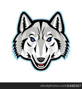 Artic Wolf Head Front Mascot. Mascot icon illustration of head of an Arctic wolf, white wolf or polar wolf, a subspecies of gray wolf viewed from front on isolated background in retro style.. Artic Wolf Head Front Mascot