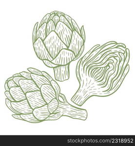 Artichoke hand engraving set. Vegetable fruits whole and half sketch. Fresh organic food vintage vector illustration. Artichoke hand engraving set