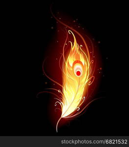 artistically drawn, flaming phoenix feather on a black background.&#xA;