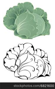 artistically painted white cabbage on a white background.&#xA;