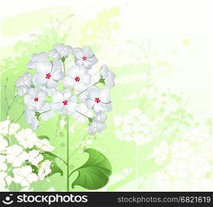 artistically painted, white flowers with wild green plants.&#xA;
