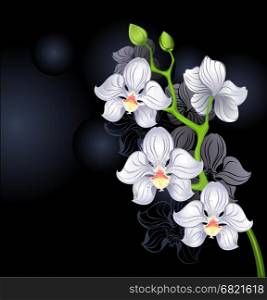 artistically painted white orchid on a black background.&#xA;