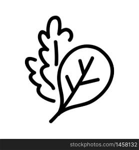 arugula leaves plants icon vector. arugula leaves plants sign. isolated contour symbol illustration. arugula leaves plants icon vector outline illustration