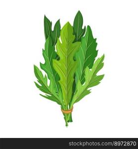 arugula salad cartoon. fresh vegetable vegetarian, green healthy, plant rucola food, leaf arugula salad vector illustration. arugula salad cartoon vector illustration