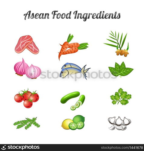 asean food ingredients set bundle include vegetables and meat in gradient cartoon design,vector illustration