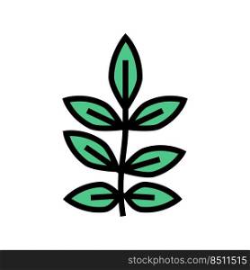 ash leaf color icon vector. ash leaf sign. isolated symbol illustration. ash leaf color icon vector illustration