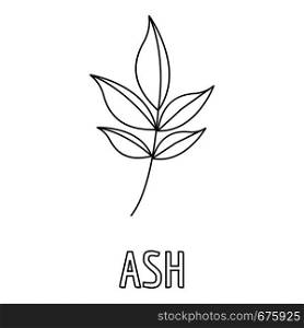 Ash leaf icon. Outline illustration of ash leaf vector icon for web. Ash leaf icon, outline style.