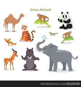 Asian Animals Fauna Species. Camel, Panda, Tiger,. Asian animals fauna species. Cute asian animals flat vector. Northern predators. Nature concept for children s book. Camel, panda, tiger, chameleon, monkey, deer, grizzly bear elephant