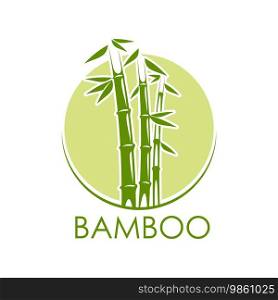 Asian bamboo icon, SPA massage, beauty and health vector symbol in circle. Bamboo green leaf emblem for natural organic cosmetic, SPA skincare product package or Chinese and Japanese art design. Asian bamboo icon, SPA massage, beauty and health