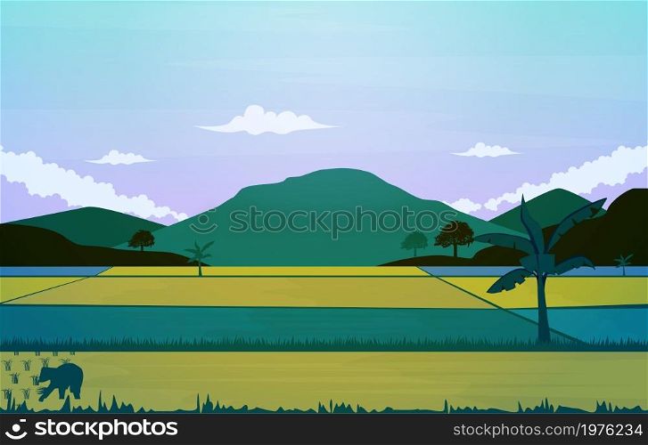 Asian Farmer Paddy Rice Field Agriculture Nature View Illustration