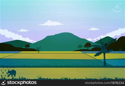 Asian Farmer Paddy Rice Field Agriculture Nature View Illustration