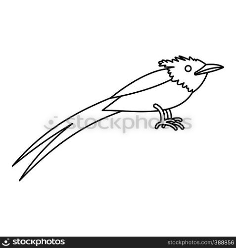 Asian paradise flycatcher icon. Outline illustration of asian paradise flycatcher vector icon for web. Asian paradise flycatcher icon, outline style